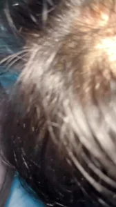 苹果原相机情侣，高jia求完整