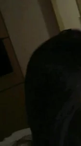 终于上钩了。菊花也搞定了