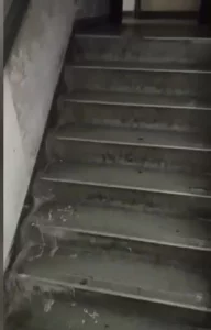 樓梯間愛愛（1）